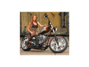 Harley Davidson Touring [2008-2024] – Eliminator-7 Bremsscheibe hinten-9
