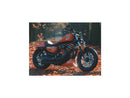 Harley Davidson Dyna [2000-2005] -reliminator 7 Disque de ceinture noir 1 1/8 "70 dents-3