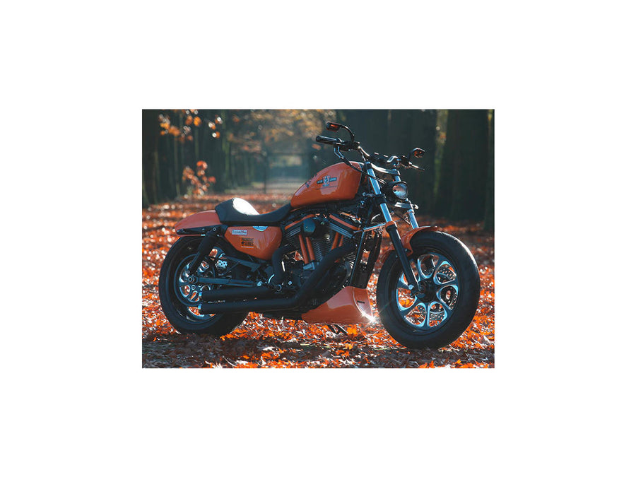 Harley Davidson Dyna [2000-2005] -reliminator 7 Disque de ceinture noir 1 1/8 "70 dents