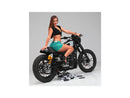 Harley Davidson Sportster [2014-2020] – T-5 2-teiliger Bremsscheibe Midnight Series-9