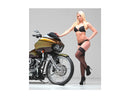 Harley Davidson Sportster [2014-2020] – T-5 2-teiliger Bremsscheibe Chrom 11,8" Vorne-8
