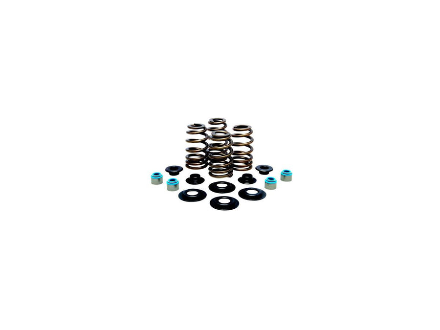 Harley Davidson FX Model [1985-1994] – Hochleistungs-Bienenkorb Ventilfederkit