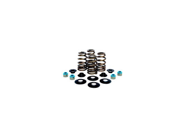 Harley Davidson FX Model [1985-1994] – Hochleistungs-Bienenkorb-Ventilfederkit