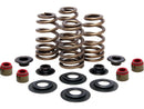 Harley Davidson Sportster [2004-2020] -High-Performance Bee Basket Valve Spring Kit-1