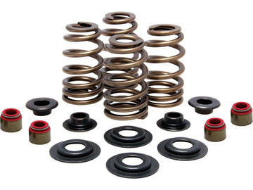 Harley Davidson Sportster [2004-2020]-kit de printemps de vanne de panier d'abeille High-Performance High-performance