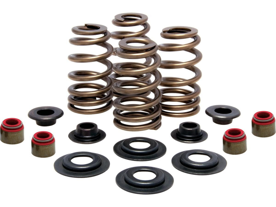 Harley Davidson Sportster [2004-2020] -High-Performance Bee Basket Valve Spring Kit