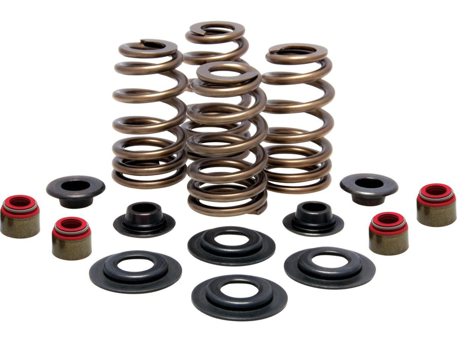 Harley Davidson Sportster [2004-2020] -High-Performance Bee Basket Valve Spring Kit