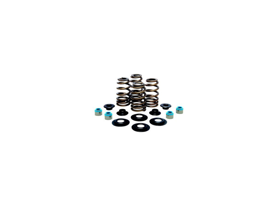Harley Davidson Sportster [2004-2020]-high-performance bee basket valve spring set