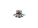 Harley Davidson Sportster [2004-2020]-high-performance bee basket valve spring set-3