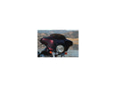 Harley Davidson Flhtcui [2005-2006] -High-Performance Sostituzione del parabrezza del vento Altezza: 4 "-1