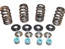 Harley Davidson Dyna [2005-2017] -05 TC Valve Spring STL Clr Clr Valve Spring Kit-1