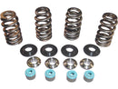 Harley Davidson Dyna [2005-2017] -05 TC Valve Spring STL Clr Clr Valve Spring Kit-3