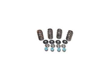 Harley Davidson Dyna [2005-2017]-05 TC valve spring TIT CLR conical valve spring kits