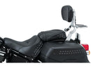 Harley Davidson FLSL [2018-2021] – Mehrzweck-Rückenlehnenhalterung Solide Chrom-3