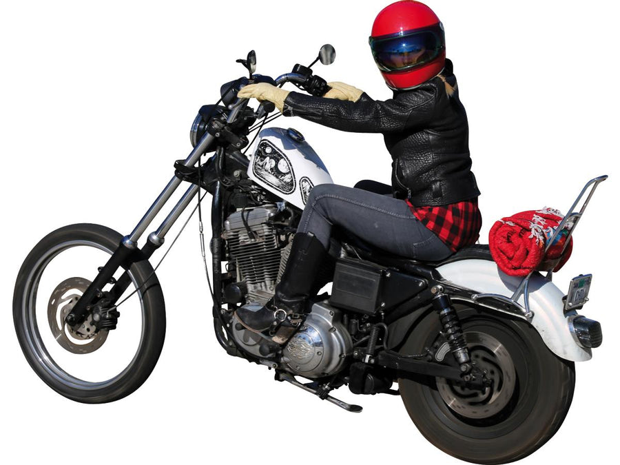Harley Davidson Sportster [2004-2020] -High Sissy Bar avec une rembourrage, chromé