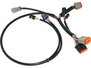 Harley Davidson Touring [2000-2001] – OEM-Ersatz Kompletter Zündkabelbaum-3