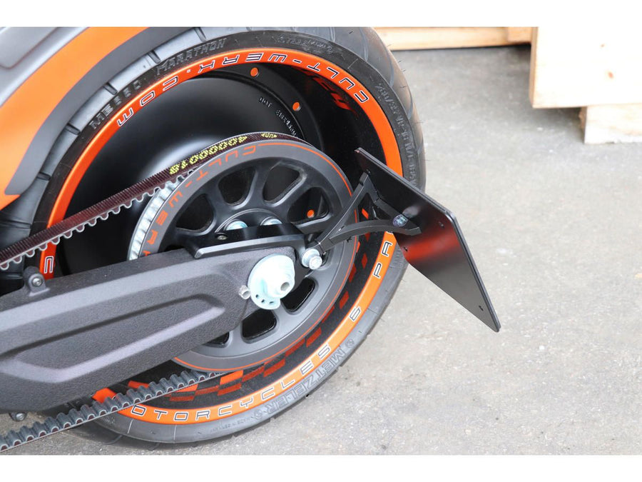 Harley Davidson FXDRS 114 ASSEMBLAGE DE LA PLIQUE [2019-2020]