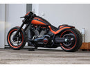 Harley Davidson FXDRS 114 ASSEMBLAGE DE LA PLIQUE [2019-2020]-6