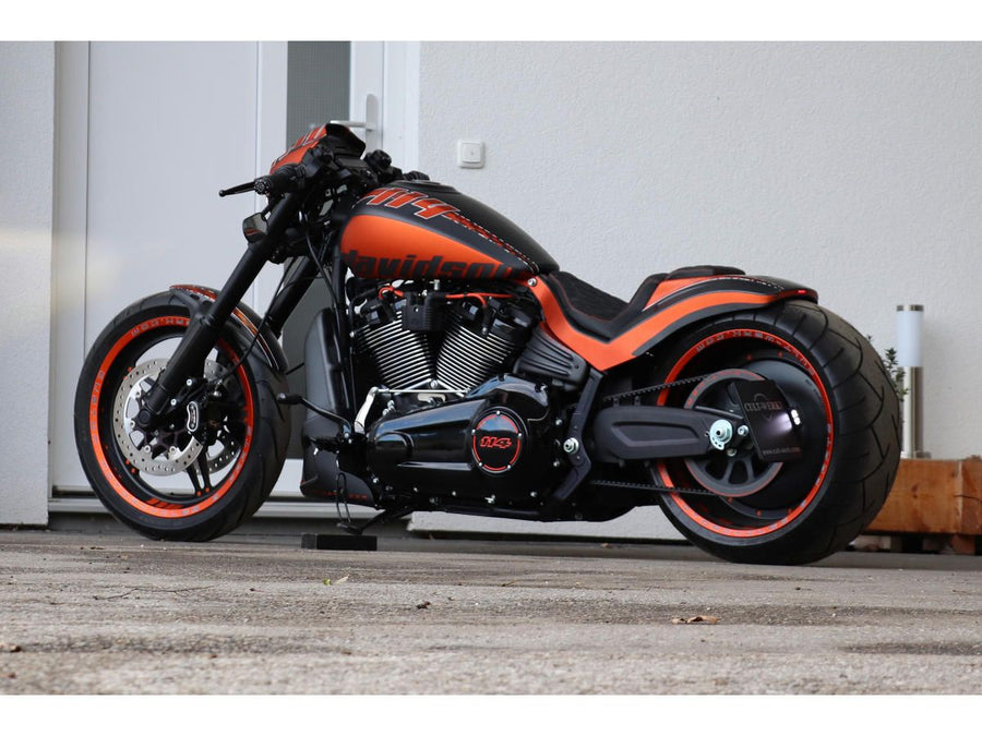 Harley Davidson FXDRS 114 ASSEMBLAGE DE LA PLIQUE [2019-2020]