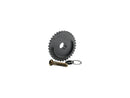 Harley Davidson Dyna [1999-2001] -Outdoor College Chain Wheel 34T con il laboratorio di tempori appare-3