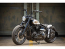 Harley Davidson FLSL [2018-2021]-Steel front wheel protection sheet for Softail models-5