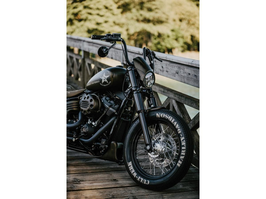 Harley Davidson Softail [2018-2025] -Ber Chin Dlodding