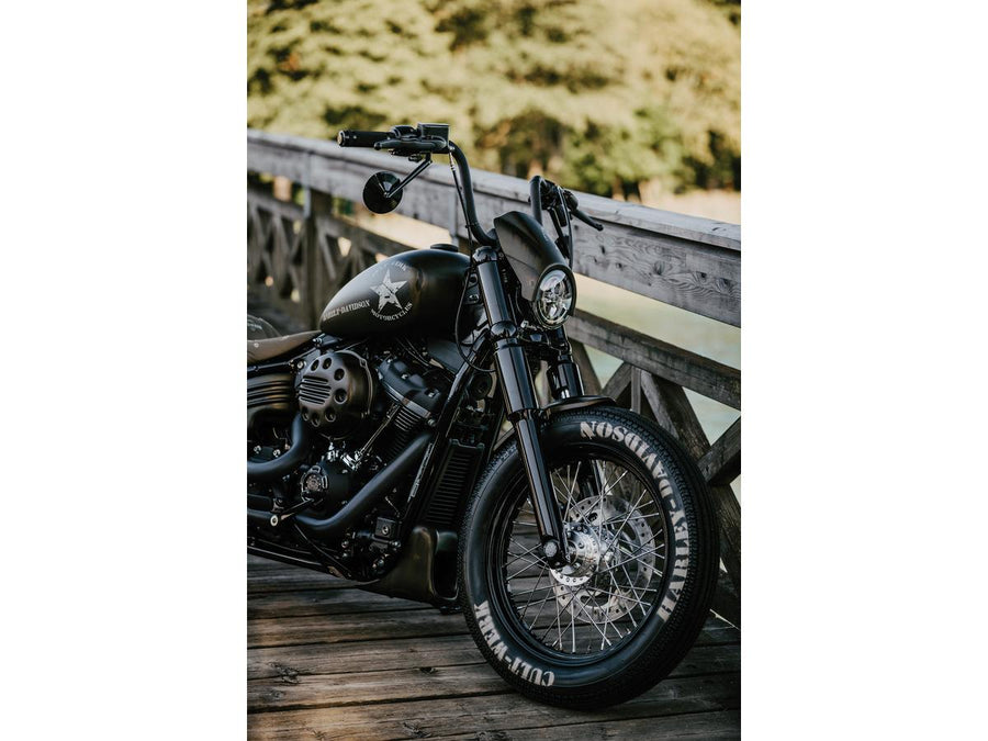 Harley Davidson Softail [2018-2025] -Ber Chin Dlodding