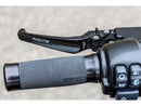 Harley Davidson Softail [2015-2017]- Classic adjustable braking and-6