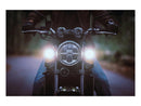Harley Davidson- Dayron I Blinker con Tagfahr- und Positionlicht Classic-13