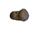 Harley Davidson Sportser Note [2004-2020] -Ribsters Popcatore primario-1