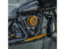 Harley Davidson Softail [2018-2024] -Method ™ Clear Series Filtre Gold-11