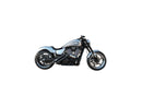 Harley Davidson-Slim Side che rivestiva il carbonio-3