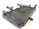 Suzuki DL 1000 V-Strom [2006] - Radiator Water Cooler-6