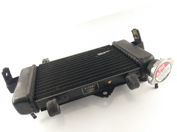 Yamaha YZF 125 RE06 [2011] - Cool Acqua Refrigeratore - 0