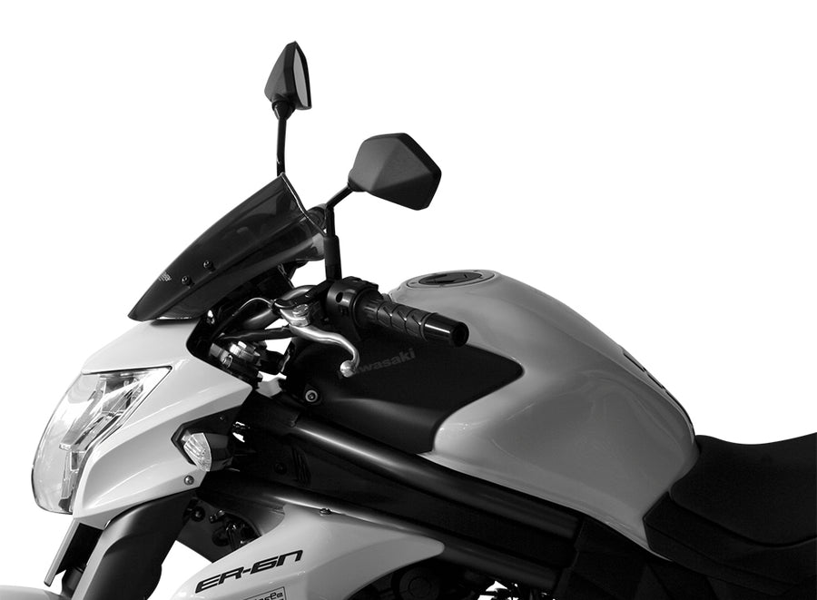 Kawasaki ER 6 N [2012-]-Touring Disc "T"