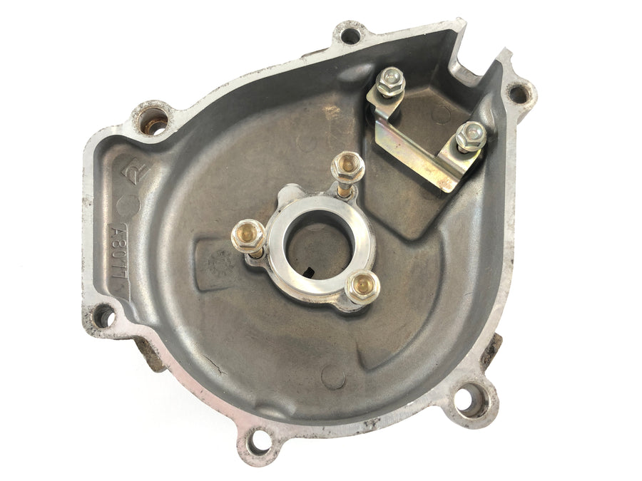 Husqvarna TE 510 [2008] - Alternator cover engine cover