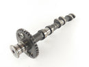 Triumph Sprint 955i RS T695 [2000] - Camshaft Intake Camshaft-1