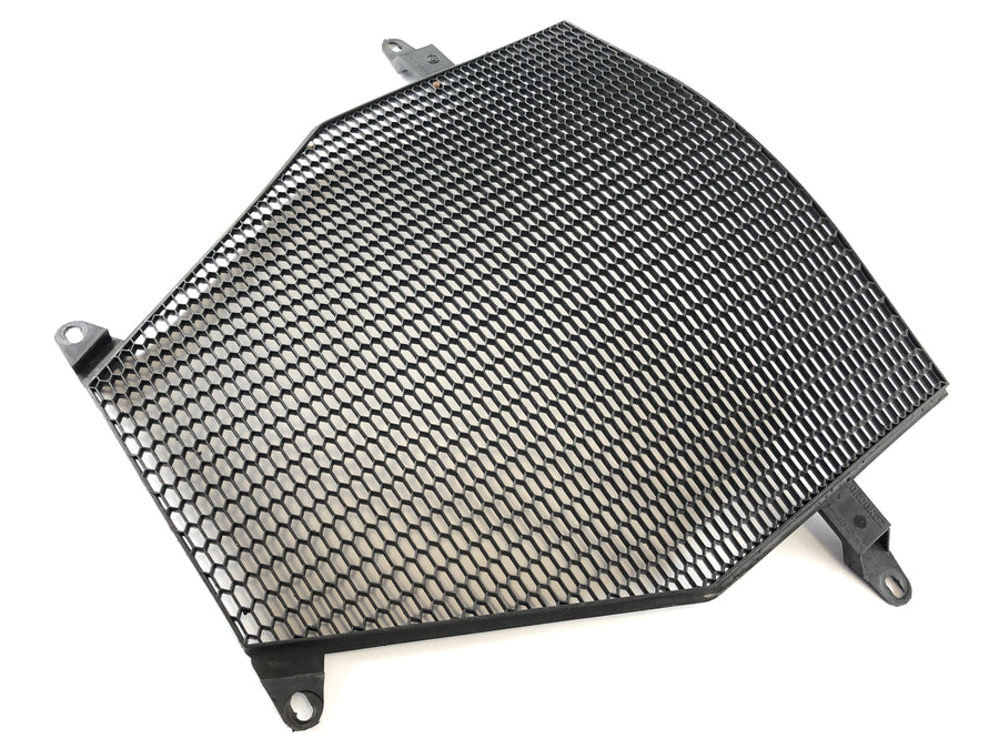 BMW K 1300 S K12S [2009] - Grille di raffreddamento