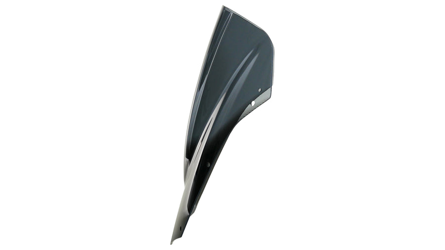 Yamaha FZ 600 S2 Fazer [2007 -] - Disc de course "R"