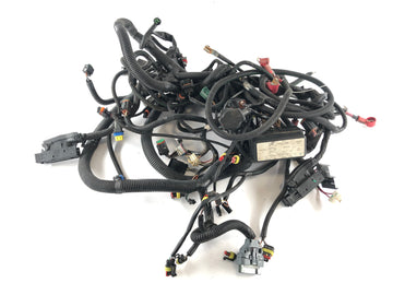 Can Am Spyder SM5 [2009] - Wiring harness