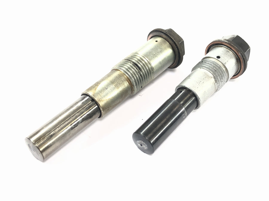 BMW R 1100 GS 259 [1994] - timing chain tensioner pair