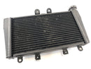 Triumph Speed ​​​​Triple 1050 515NJ [2006] - Radiateur d'eau-1