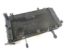 Suzuki DL 1000 V-Strom [2006] - Radiator Water Cooler-4