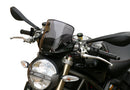 Ducati MONSTER 696 / 796 / 1100 – Tourenscheibe "T"-1