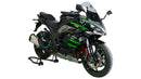 Kawasaki NINJA 1000 SX [2020-] – Racingscheibe "R"-4