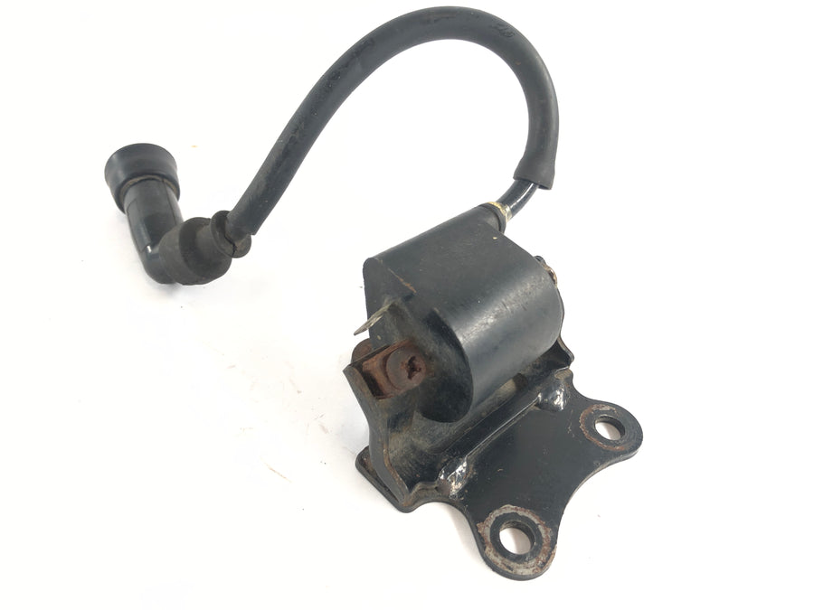 Suzuki Dr 800 S Big [1991] - Coil di accensione con candela