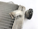 Yamaha WR 125 R DE07 [2016] - Radiator Water Cooler-5