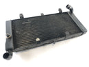 Honda ST 1100 SC26 Pan European [1990] - Relier d'acqua-1