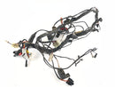 Triumph Thunderbird 900 RT T309 [1997] - Kabelbaum-1