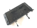 Suzuki DL 1000 V-Strom [2006] - Radiator Water Cooler-2